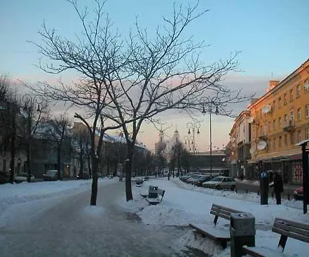 Great Near Town Hall Daire